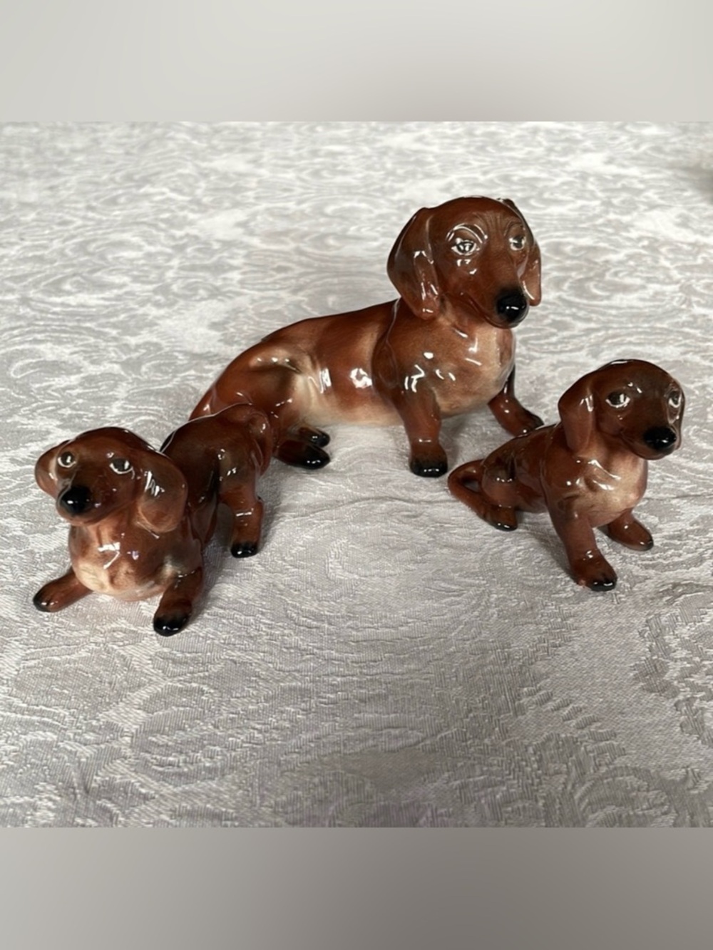 Dachshund mother with two puppies